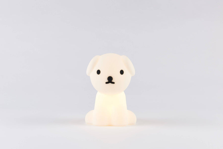 Snuffy Night Light - Parkette.