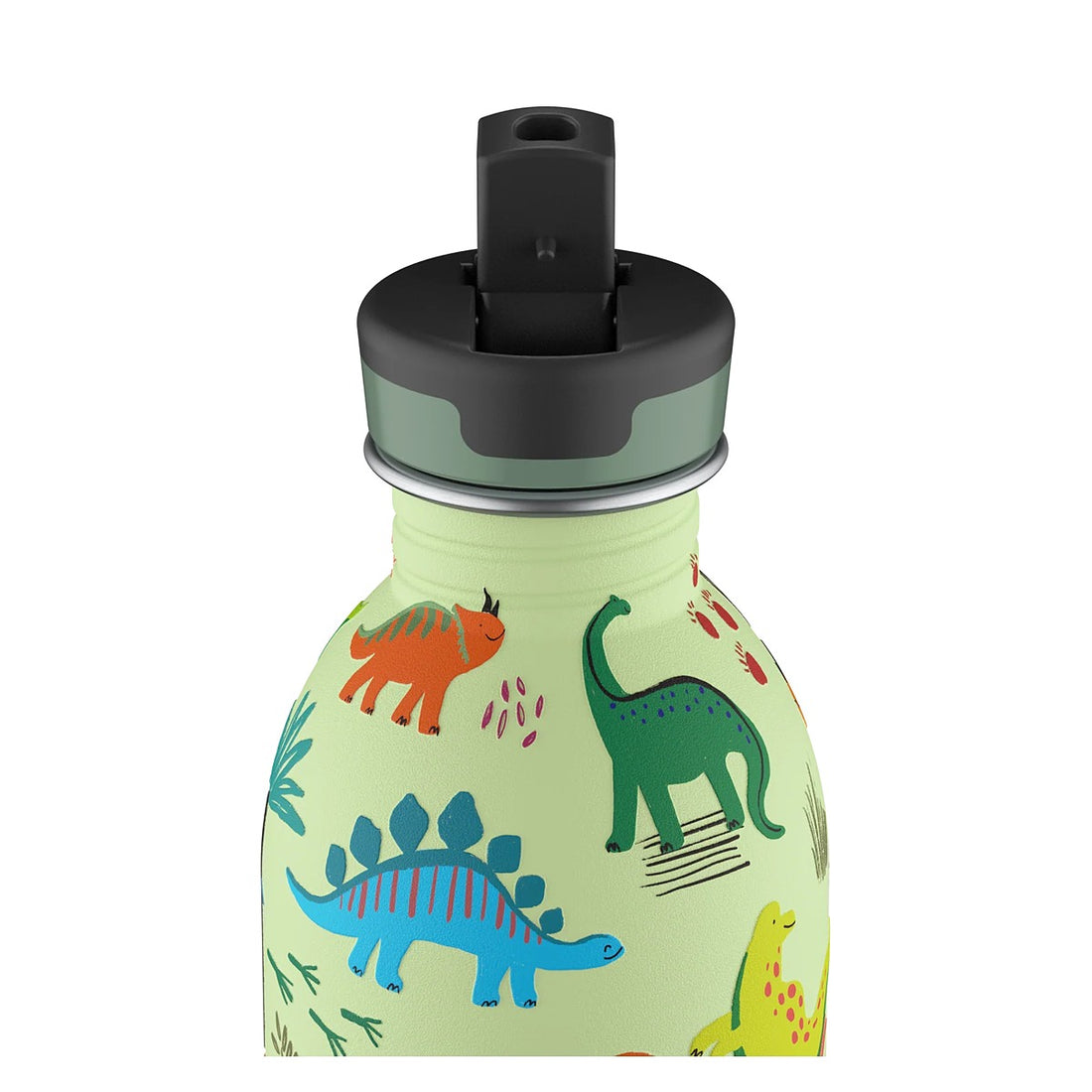 Kids Bottle - Jurassic Friends 250 ml