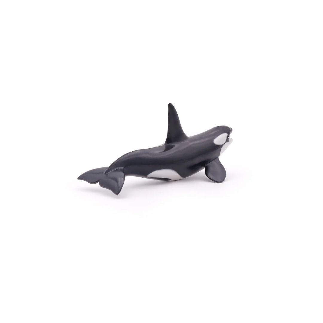 Orca Figurine - Parkette.