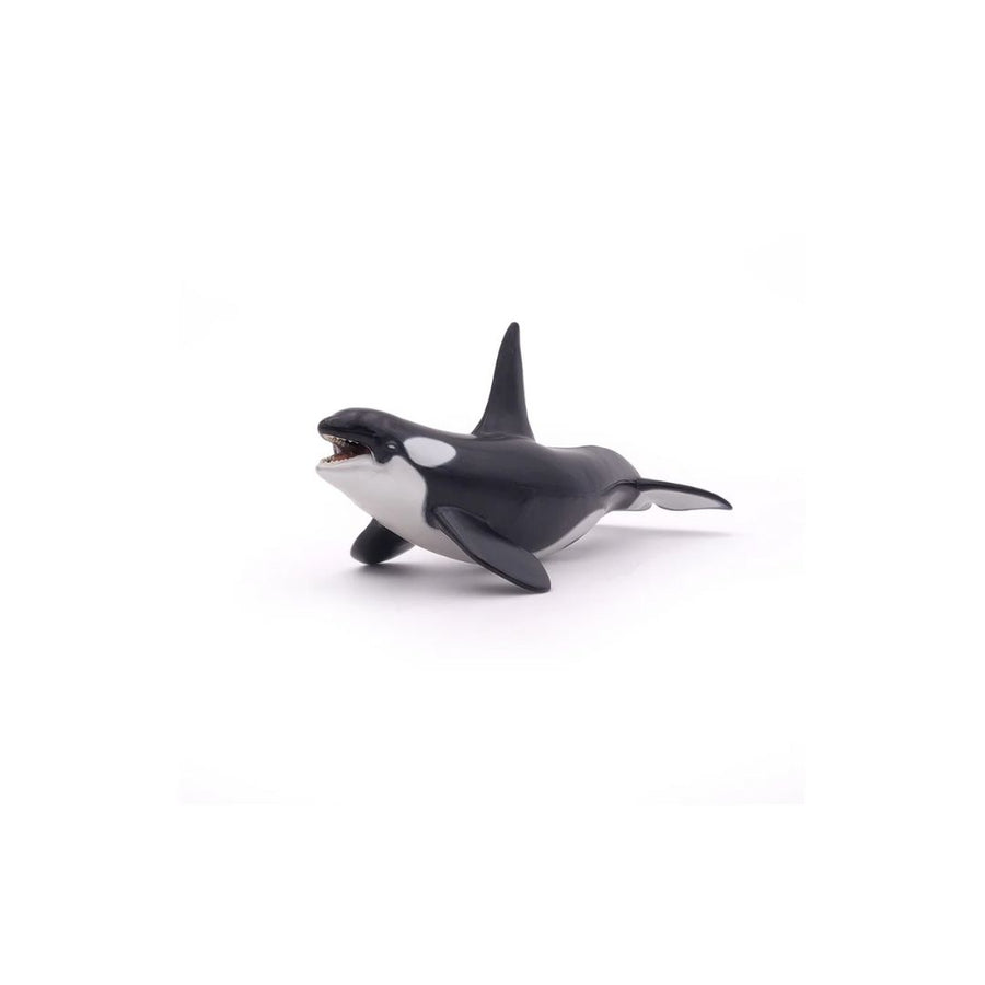 Orca Figurine - Parkette.
