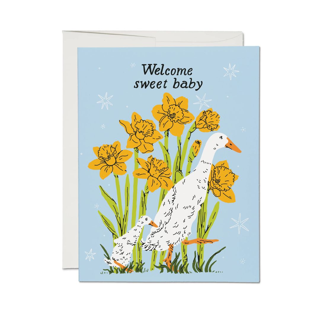 Baby Goose Greeting Card