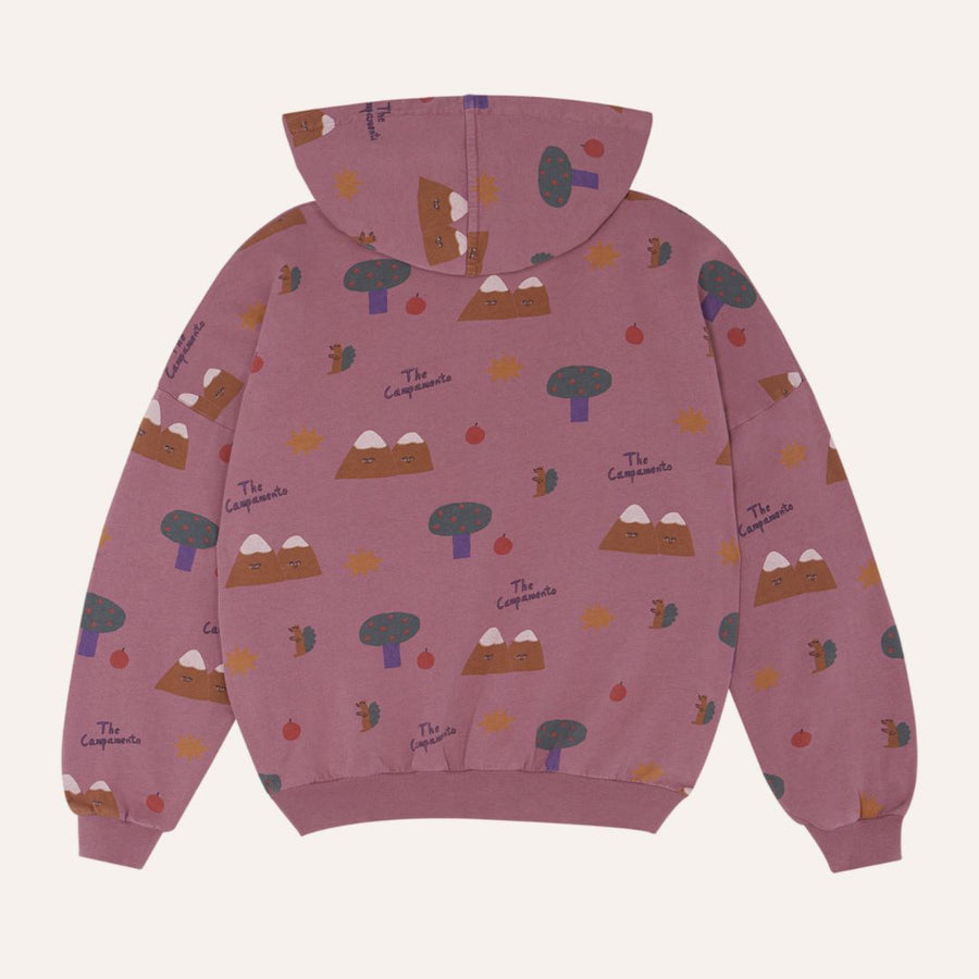 Mountains Zipped Sweatshirt - Parkette.