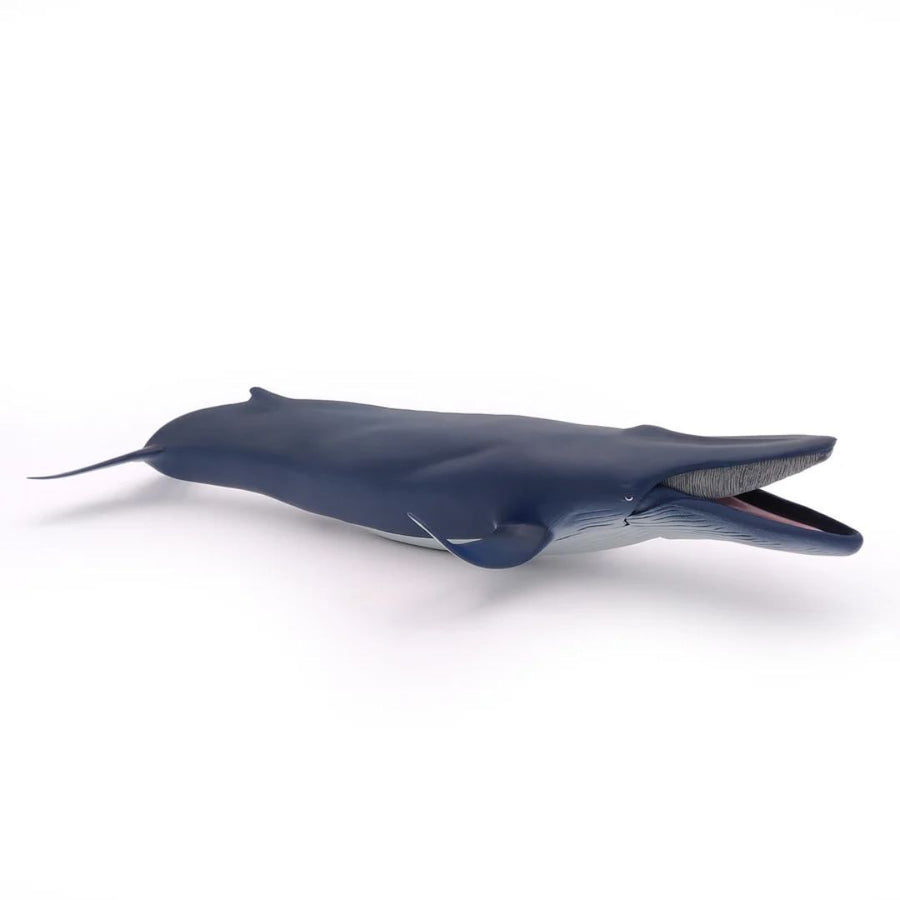 Blue Whale Figurine - Parkette.