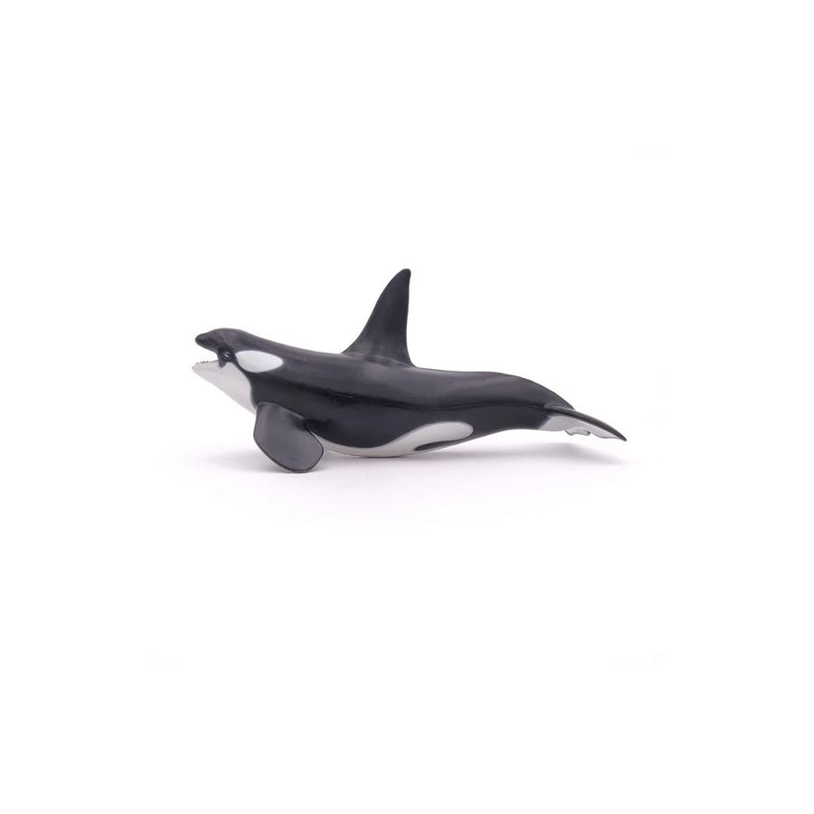 Orca Figurine - Parkette.