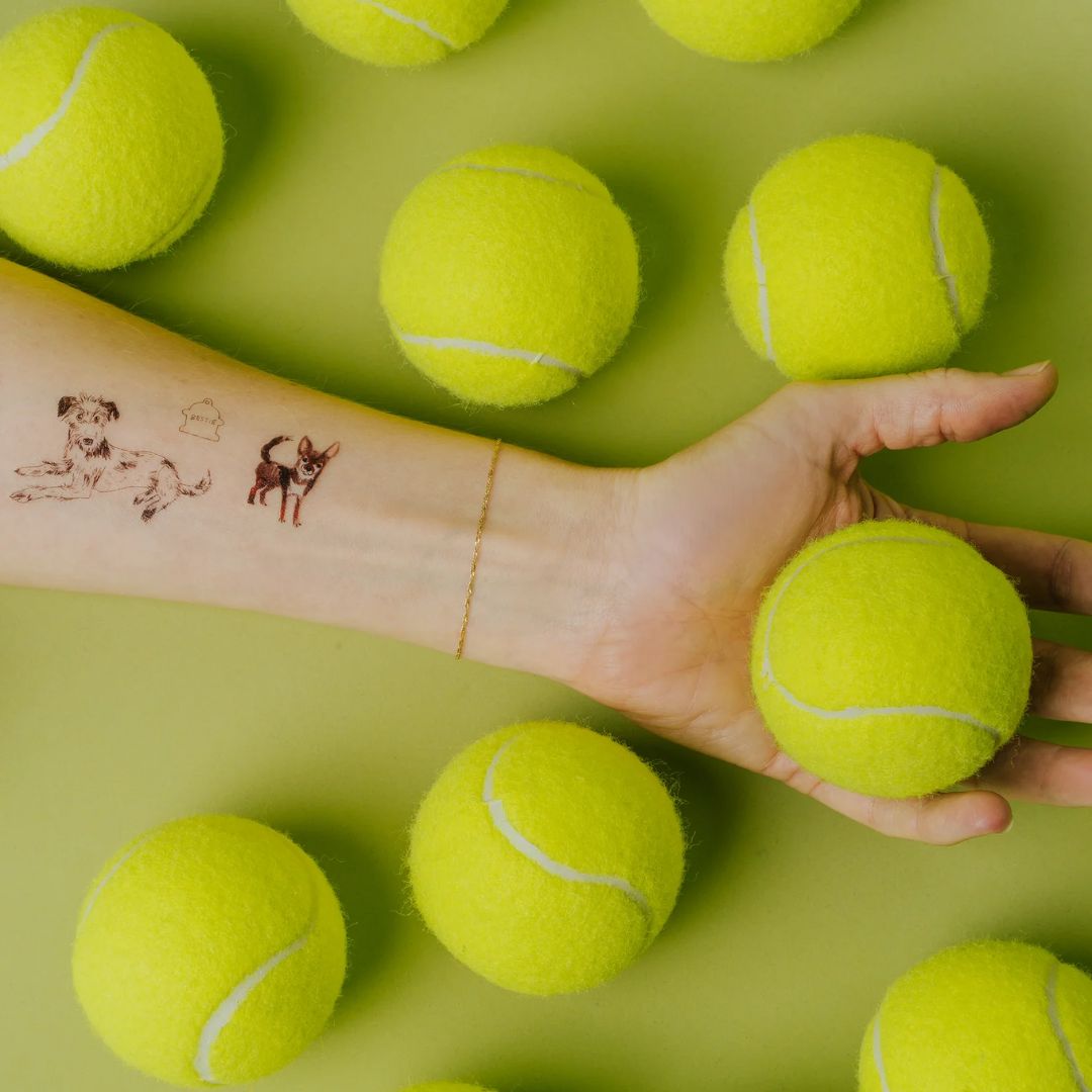 Dog Park Temporary Tattoo Sheet - Parkette.