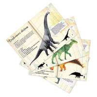 National Museum of Natural History Dinosaur Magnet Set