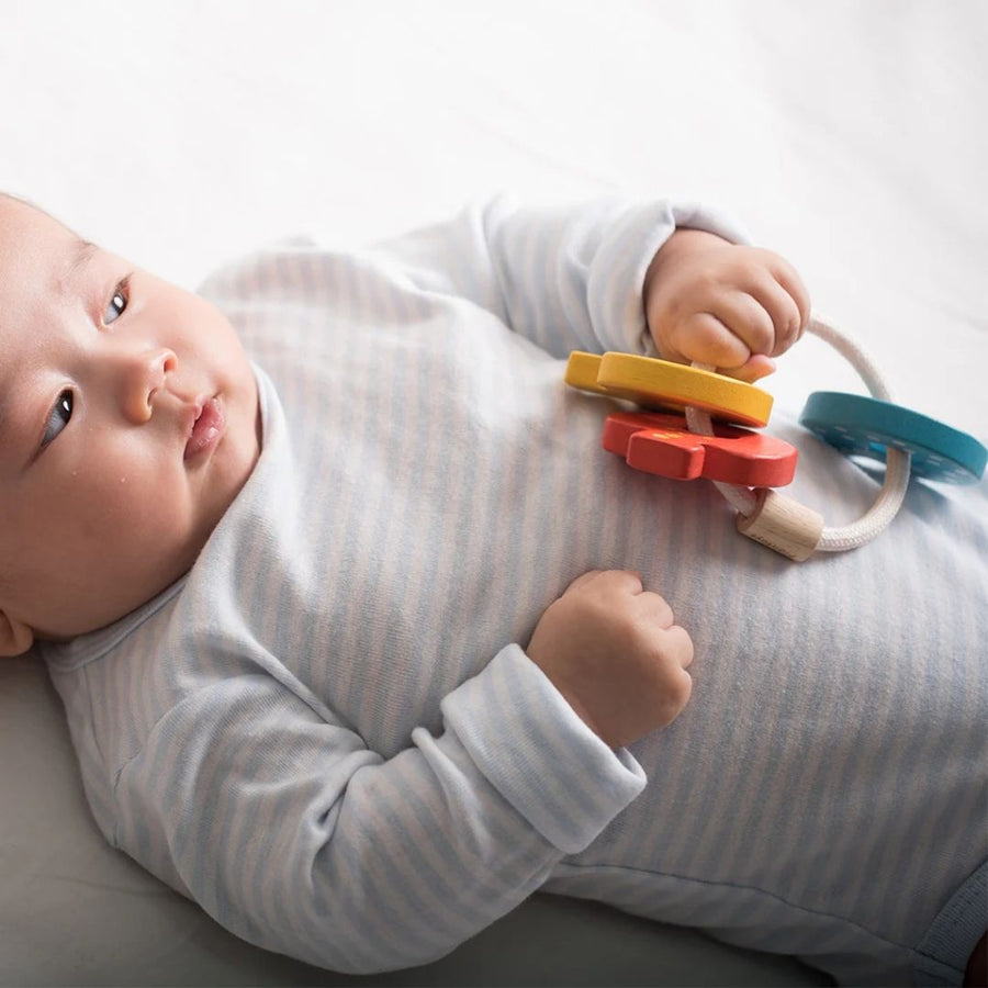 Baby Key Rattle - Parkette.