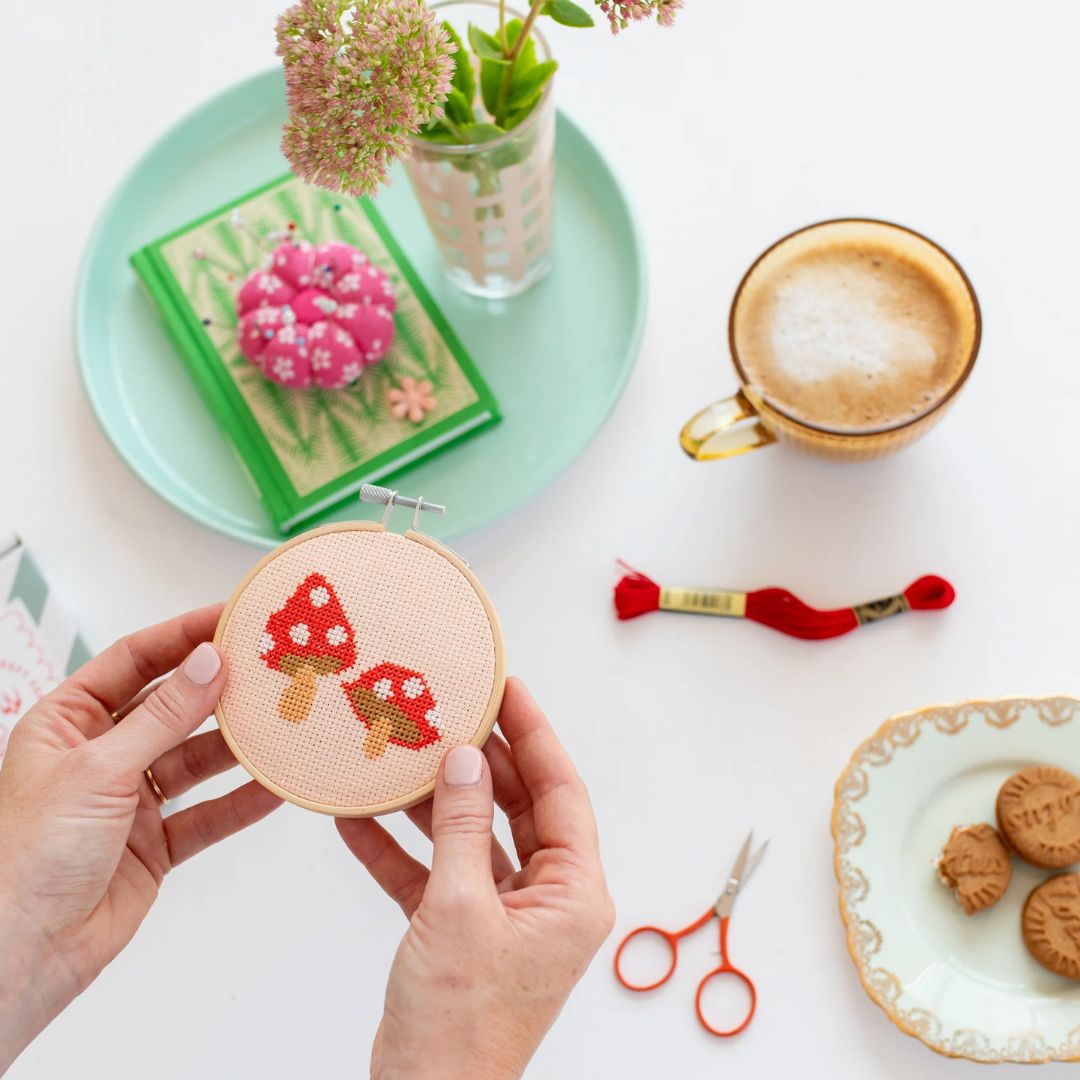 Red Toadstool Cross Stitch Kit for Beginners