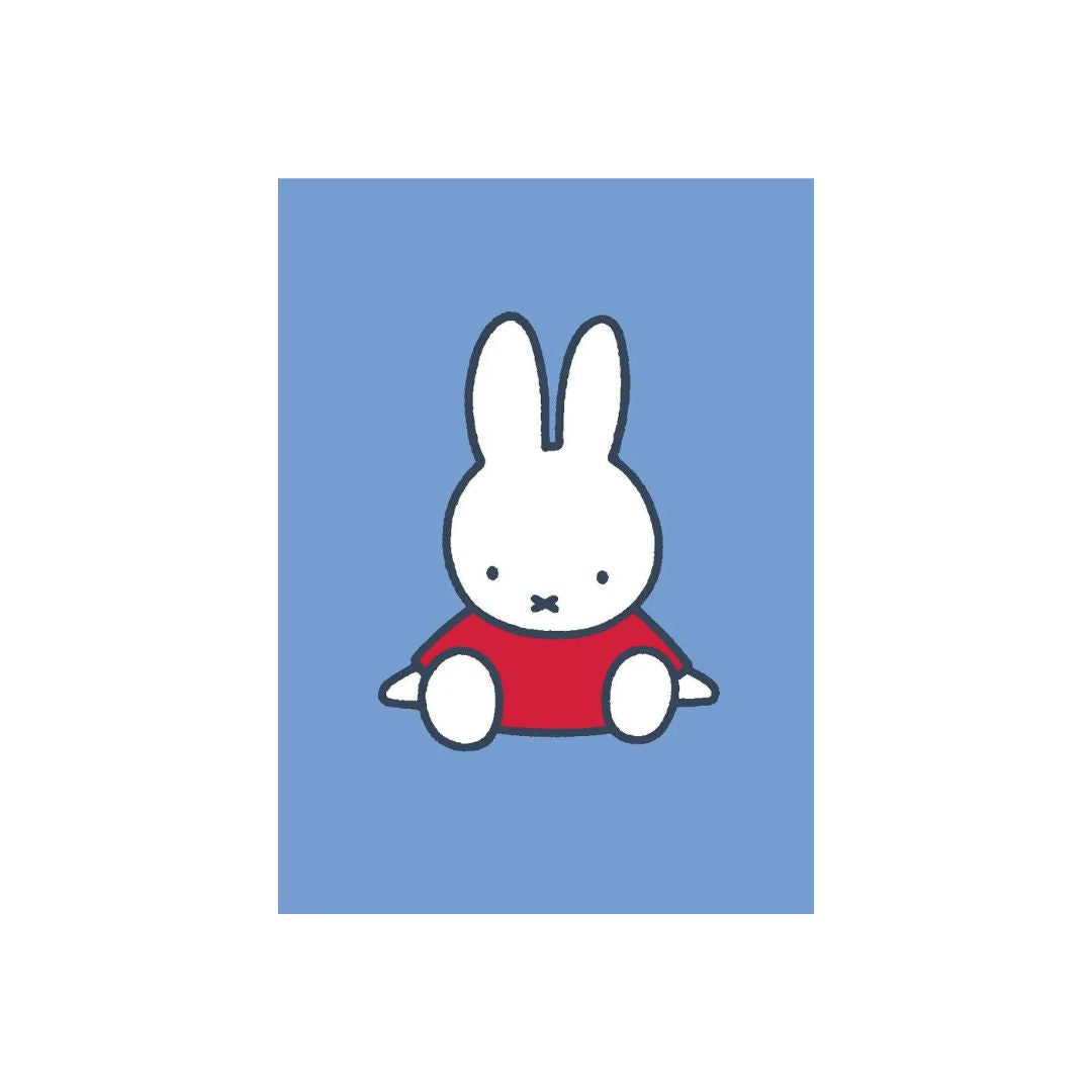 All Wrapped Up: Miffy Blank Note Cards - Parkette.