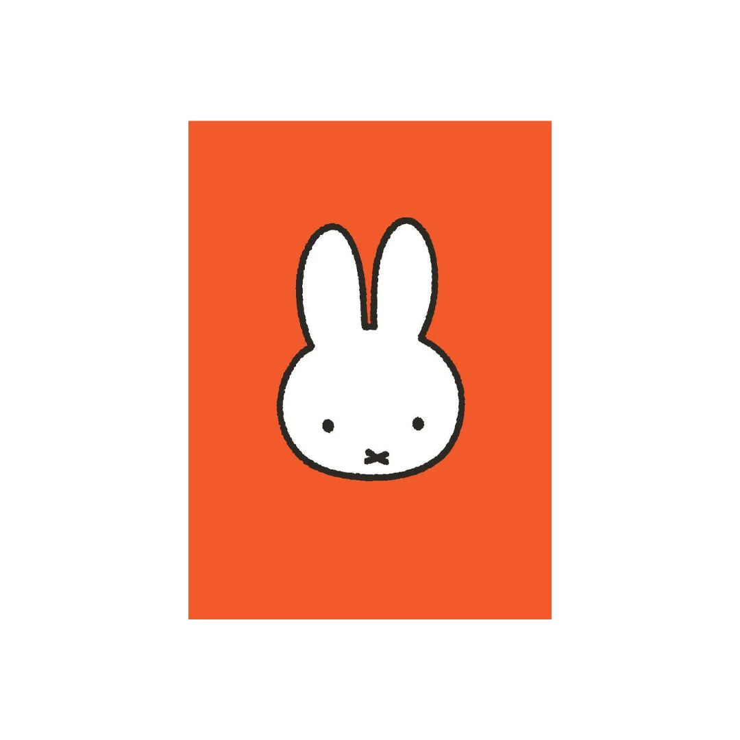 All Wrapped Up: Miffy Blank Note Cards - Parkette.