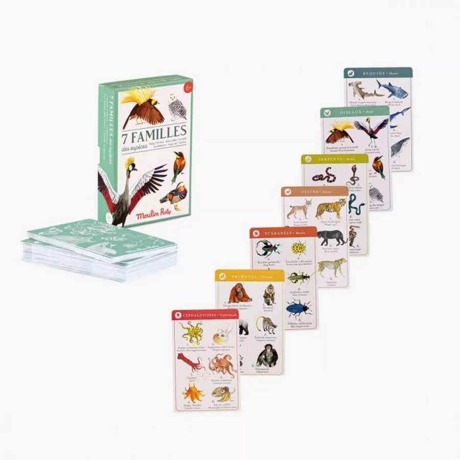 Tout Autour du Monde Happy Families Card Game