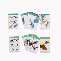 Tout Autour du Monde Happy Families Card Game