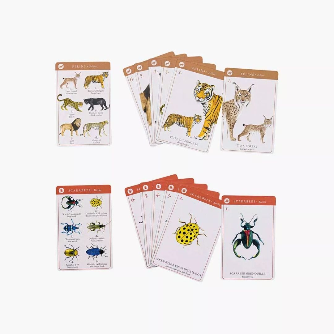 Tout Autour du Monde Happy Families Card Game