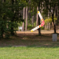 Boomerang