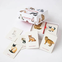 Cats and Kittens: A Memory Game