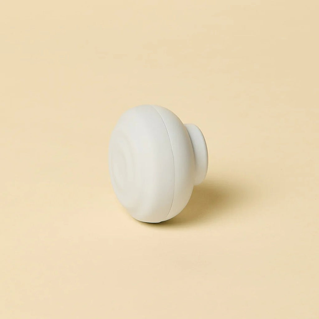 The Charger - Heaven