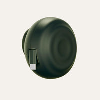 The Charger - Evergreen