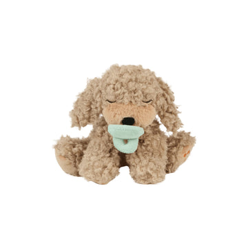Binky Puppy - Benny - Parkette.