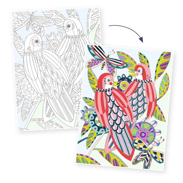 Colouring Gallery - Birds - Parkette.