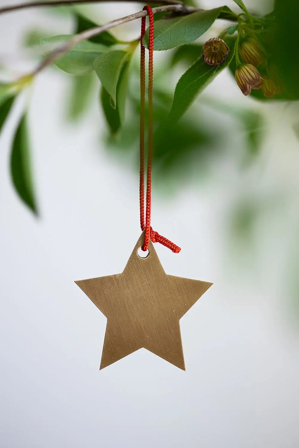 Brass Star Ornament