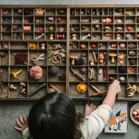Wood Mushroom Grove - Parkette.
