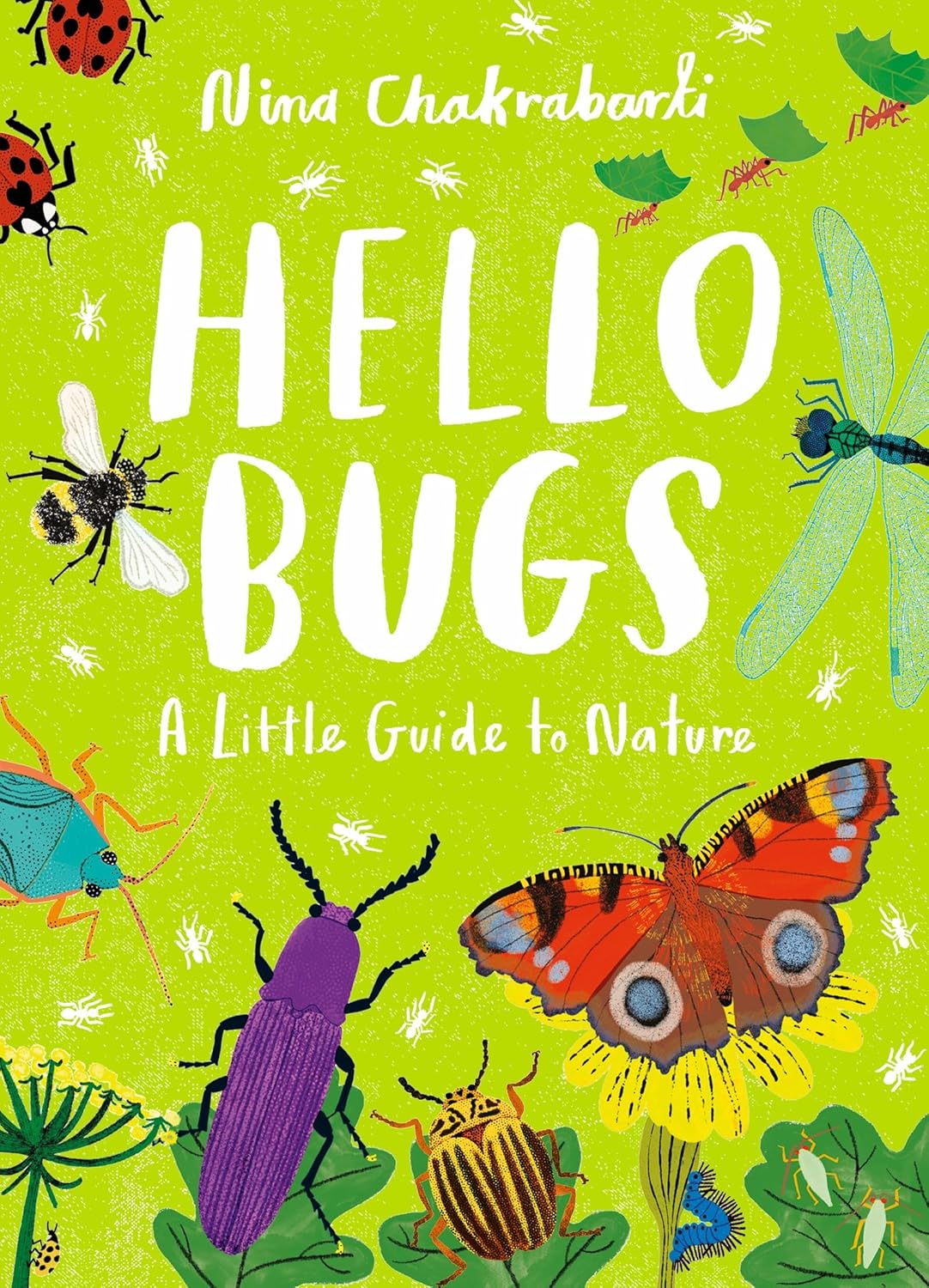 Hello Bugs: A Little Guide to Nature - Parkette.