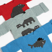 Turtles Sweater