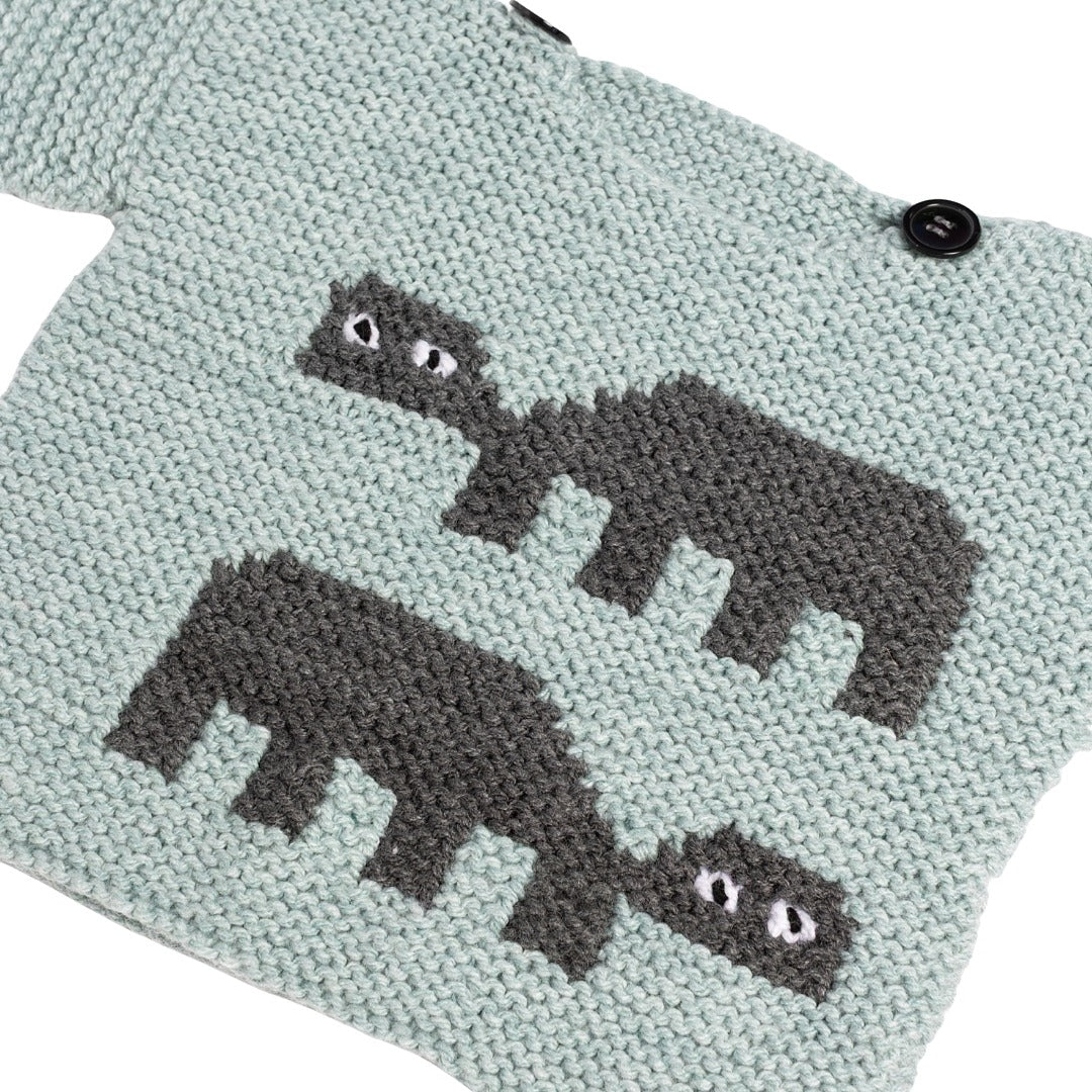 Turtles Sweater