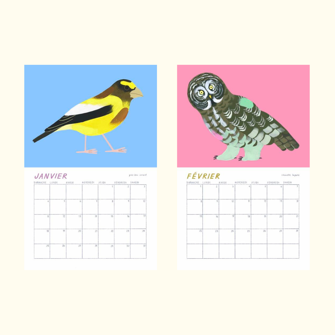 Birds of Québec 2026 Calendar by Charlotte Parent