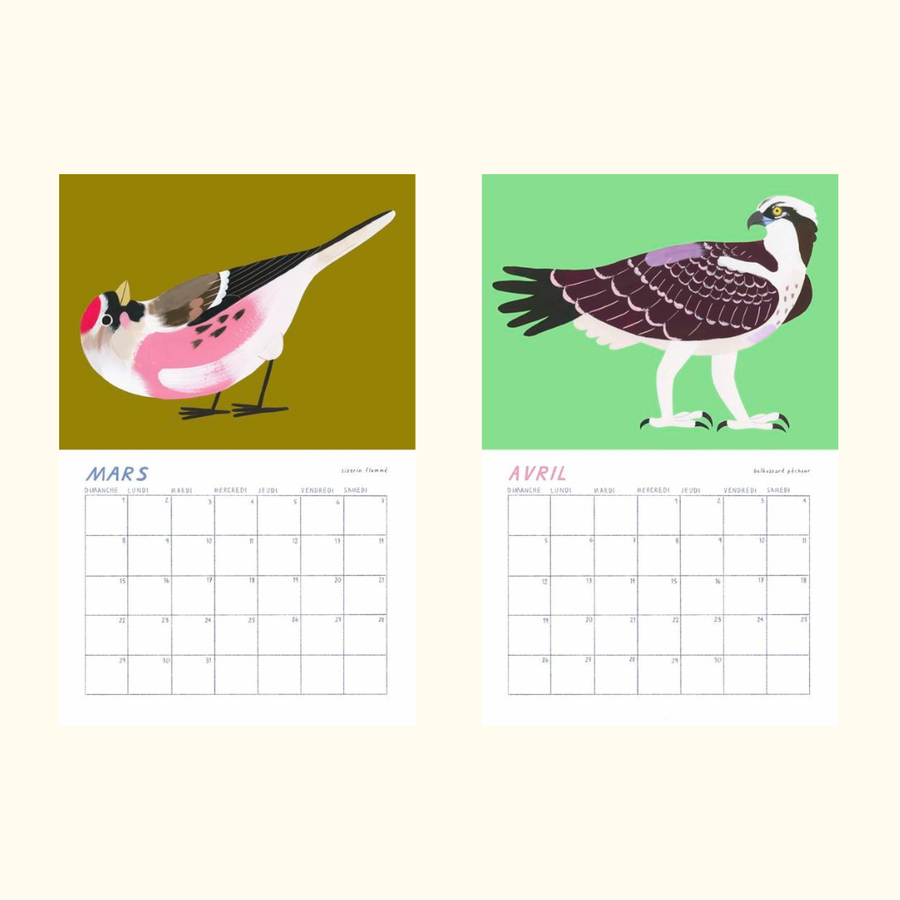 Birds of Québec 2026 Calendar by Charlotte Parent