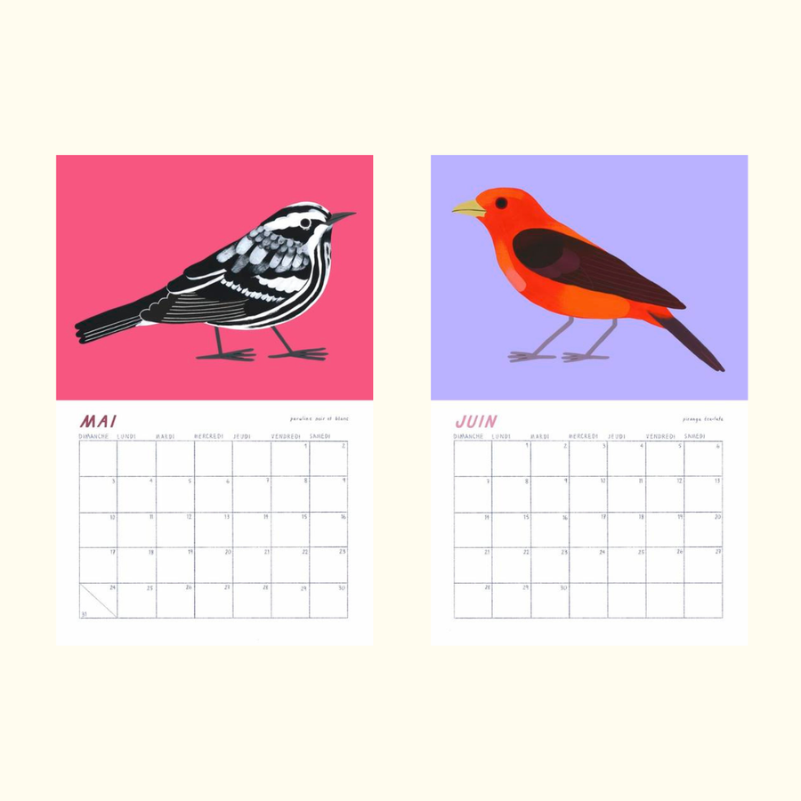 Birds of Québec 2026 Calendar by Charlotte Parent