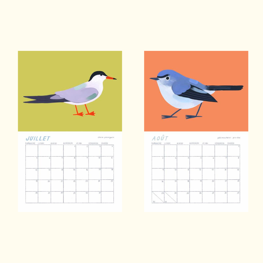Birds of Québec 2026 Calendar by Charlotte Parent
