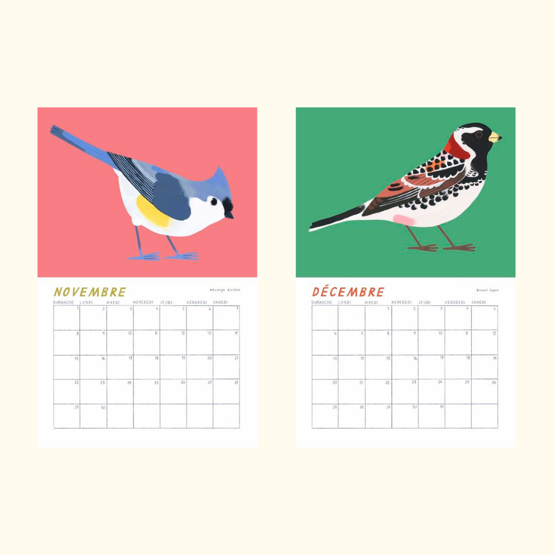 Birds of Québec 2026 Calendar by Charlotte Parent