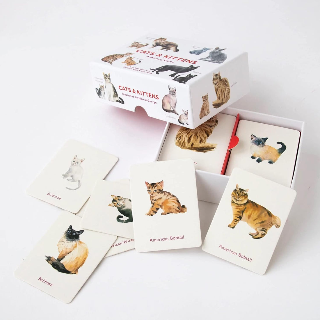 Cats and Kittens: A Memory Game - Parkette.