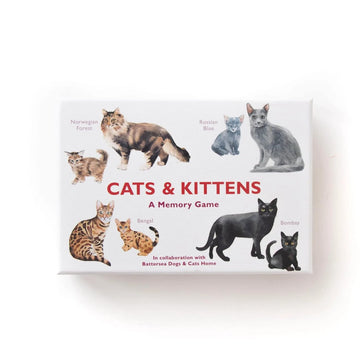 Cats and Kittens: A Memory Game - Parkette.