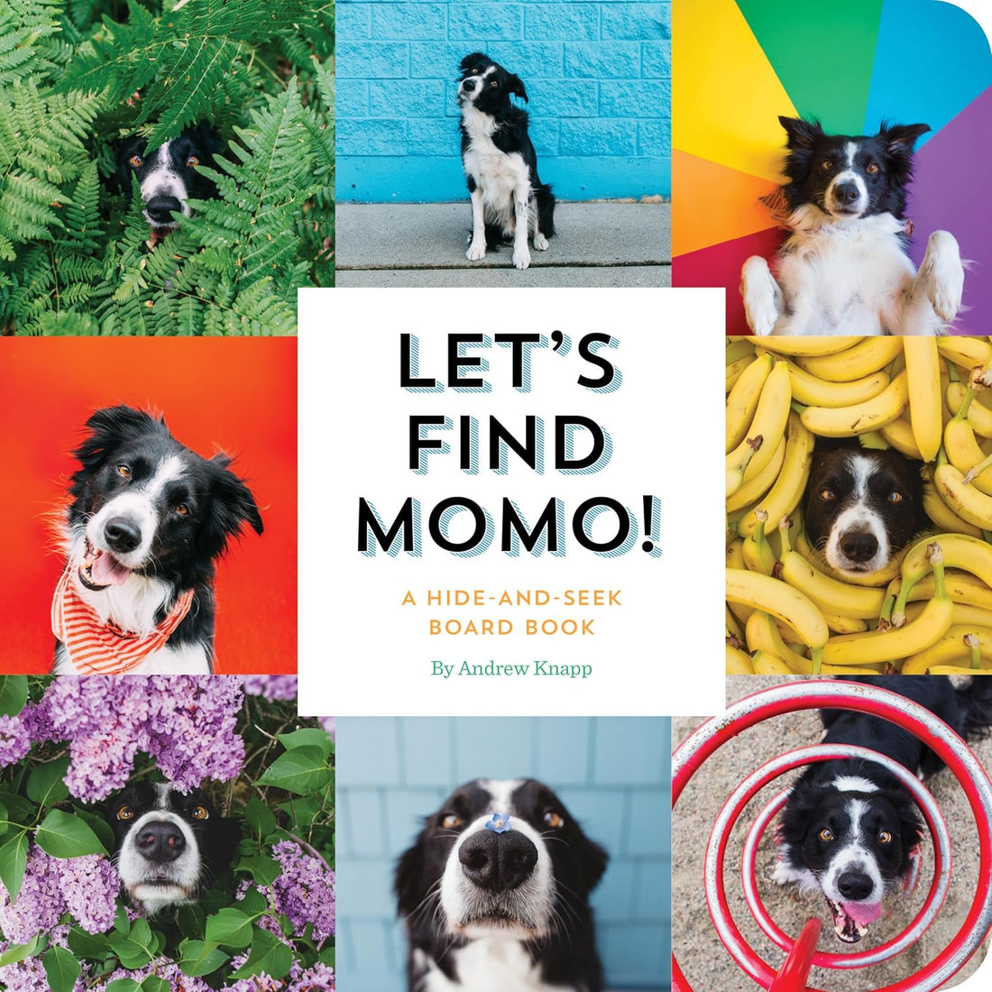 Let's Find Momo! A Hide-and-Seek Board Book - Parkette.
