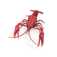 Tout Autour du Monde 3D Puzzle - Crayfish