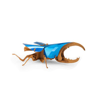 Tout Autour du Monde 3D Puzzle - Hercules Beetle