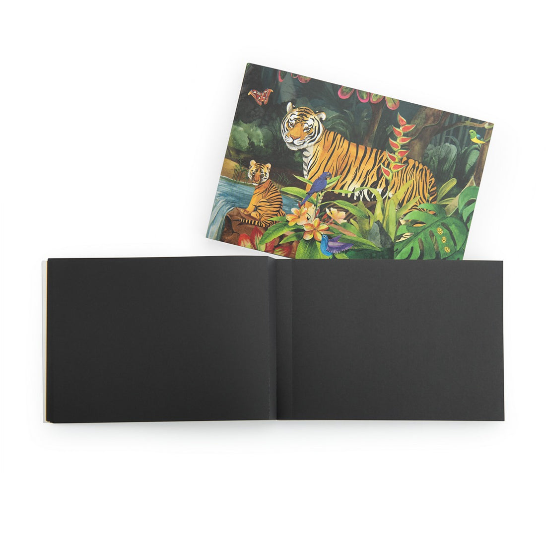 Tout Autour du Monde Black Paper Drawing Book