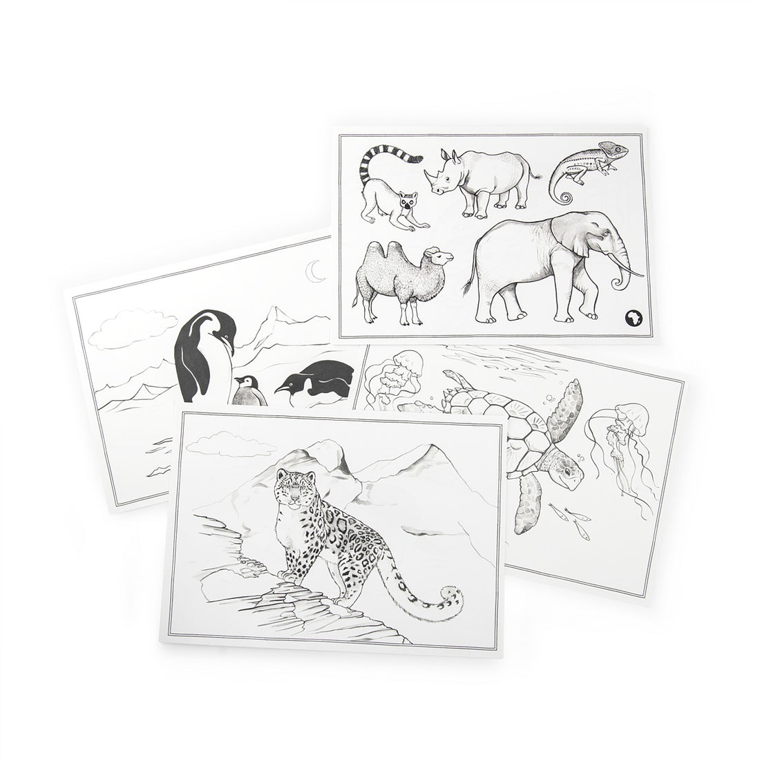 Tout Autour du Monde Drawing Templates
