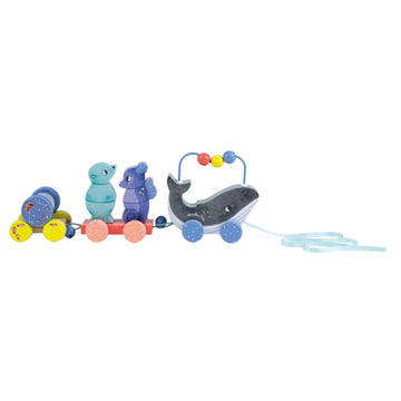 Les Aventures de Paulie Pull Along Activity Train