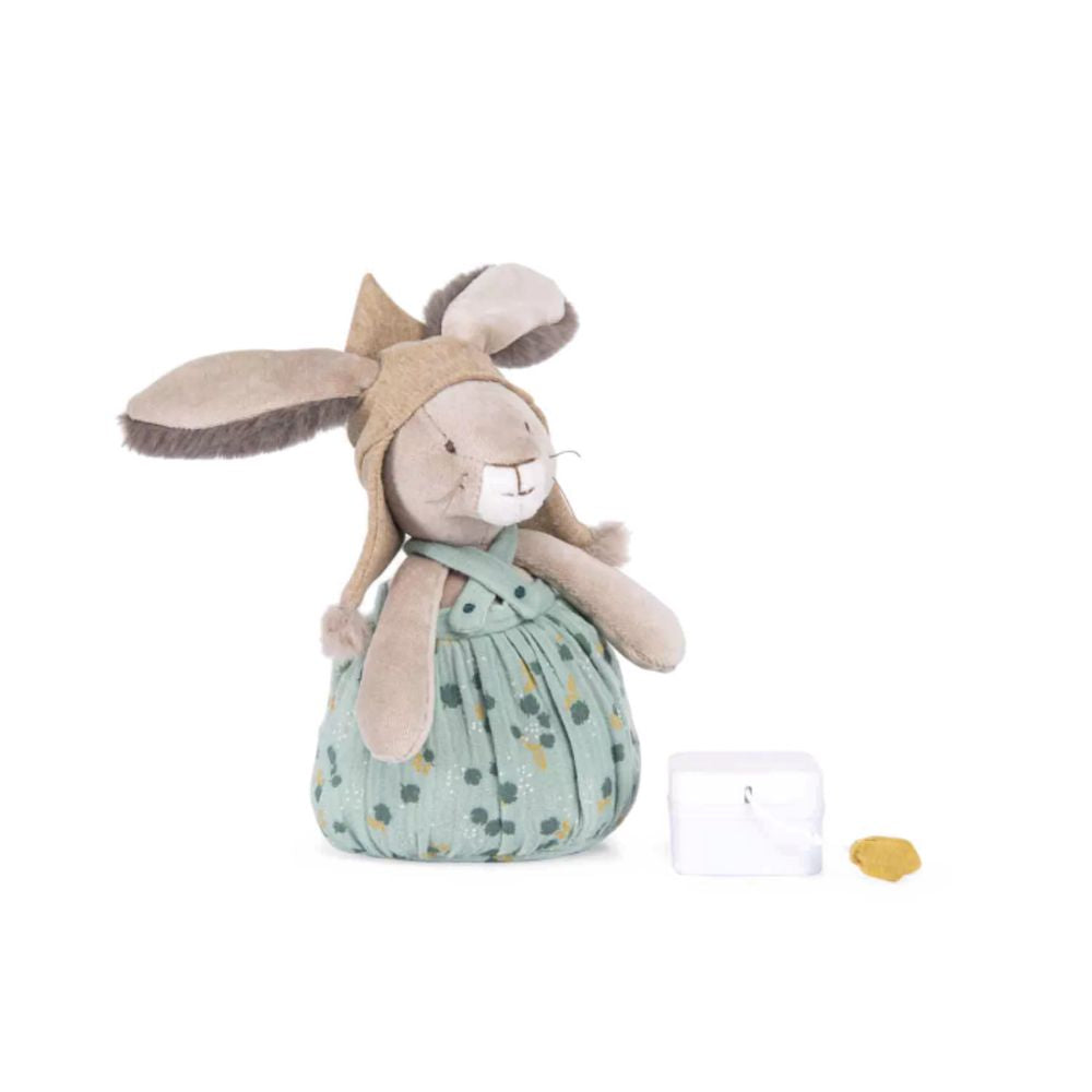 Trois Petits Lapins Musical Rabbit - Parkette.