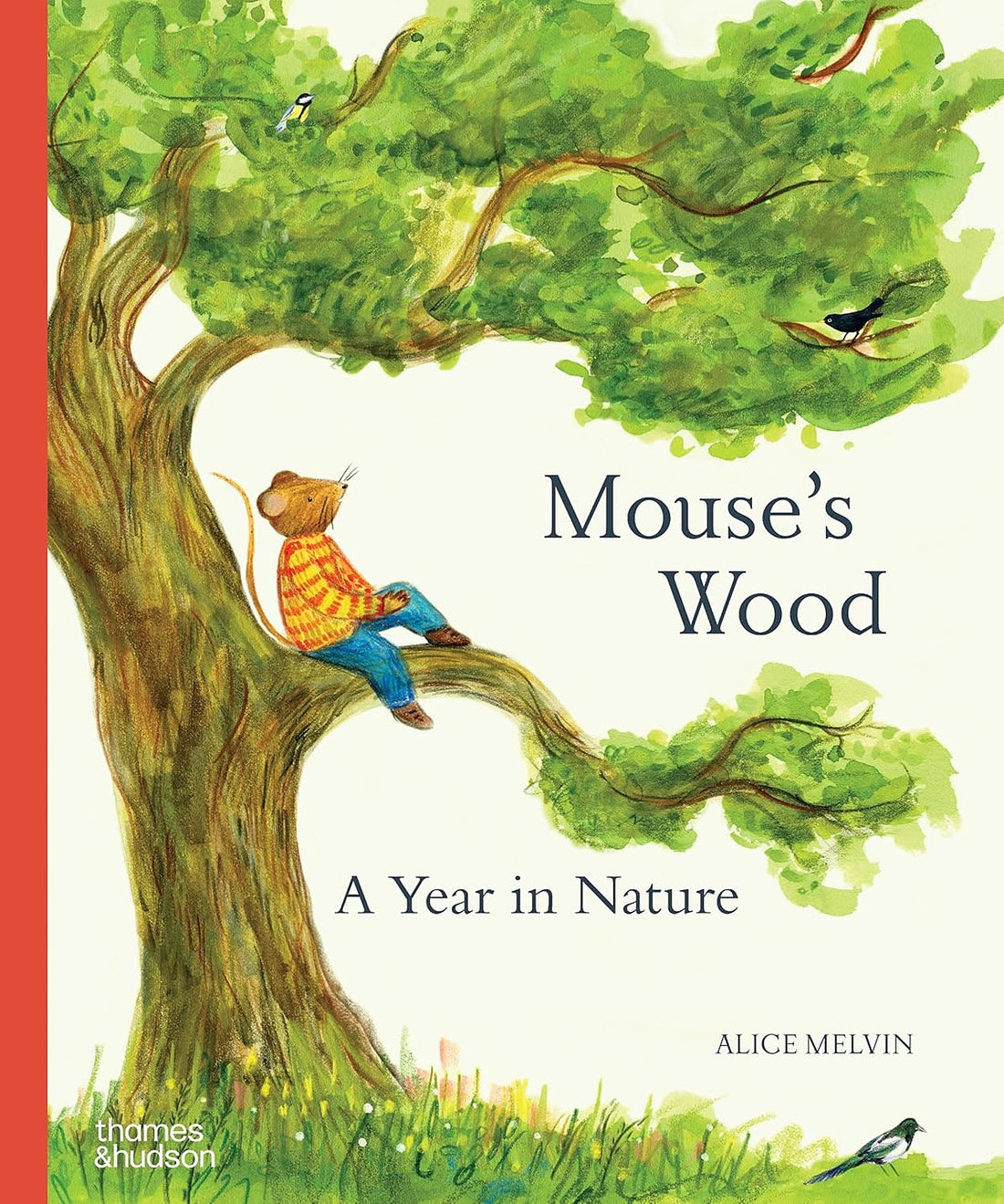 Mouse's Wood: A Year in Nature