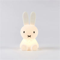 Miffy First Light