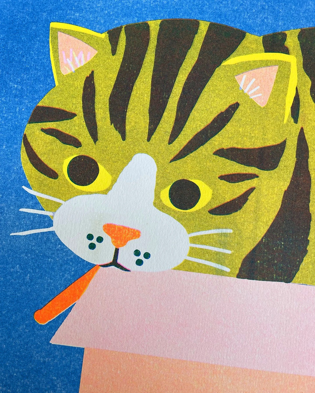 Cat in a Box Riso Print