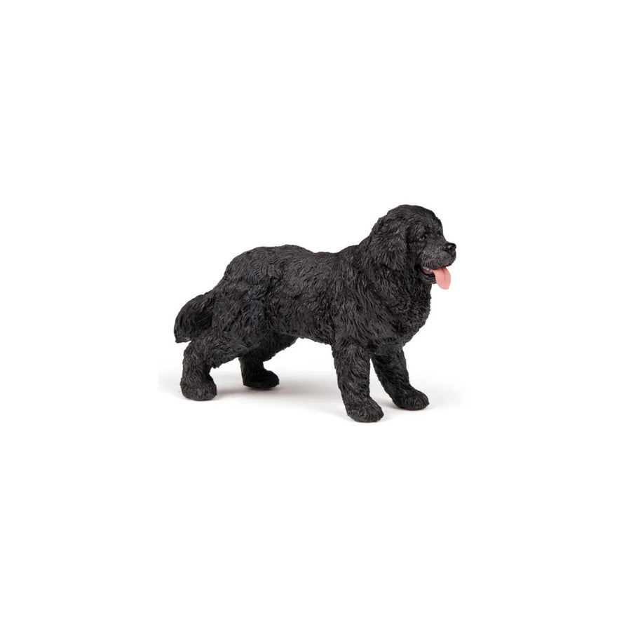 Newfoundland Figurine - Parkette.