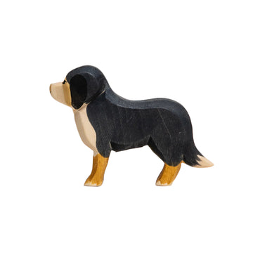 Bernese Mountain Dog - Parkette.