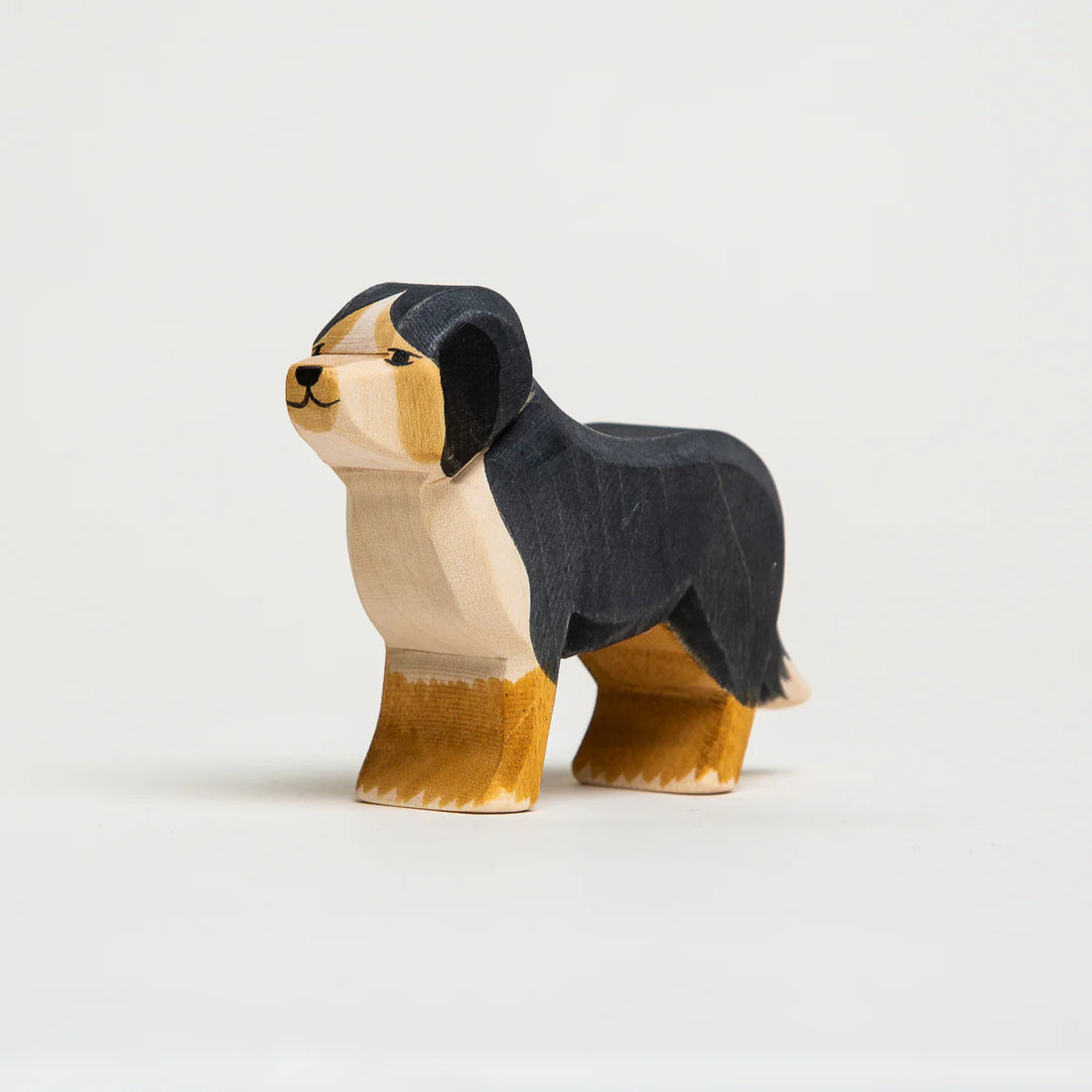 Bernese Mountain Dog - Parkette.