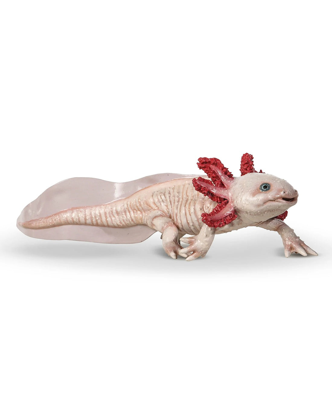 Axolotl