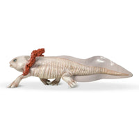 Axolotl